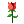 [rose]